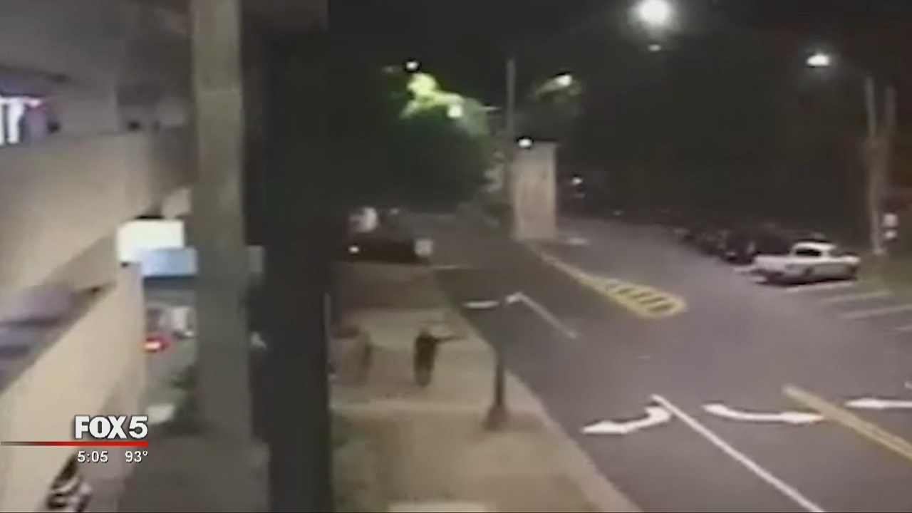 Person of interest in downtown Athens murder | FOX 5 Atlanta