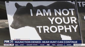 Judge allows Florida’s first bear hunt in a decade to proceed