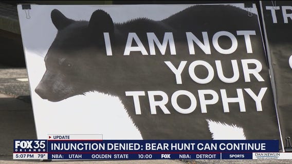 Judge allows Florida’s first bear hunt in a decade to proceed