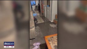 NTX restoration companies ready for busy weekend