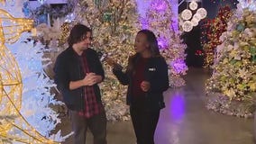 Dazzling shopping experience at Aldik Home in Van Nuys