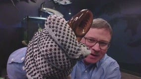 'The Fish Thief' doc shines light on one of the Great Lakes' deepest mysteries