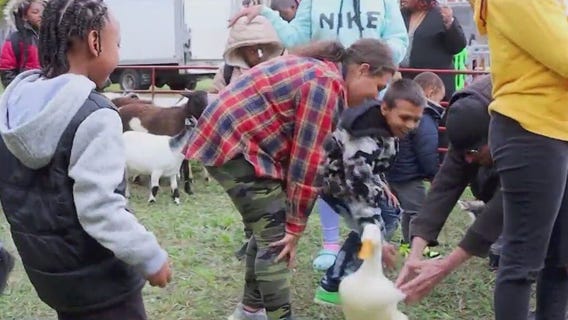 Englewood Fall Fest returns for 5th year