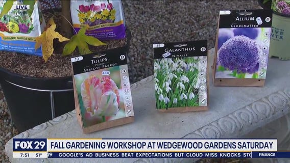 Tips for fall gardening