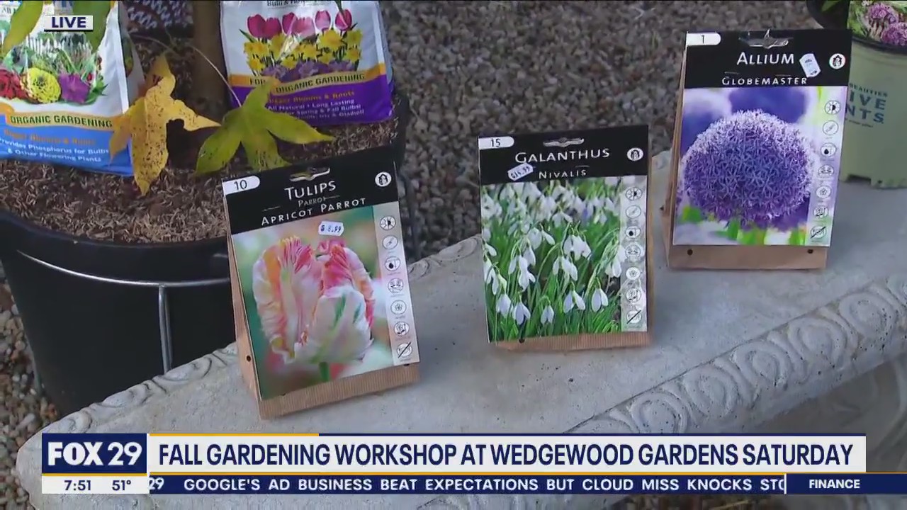 Tips for fall gardening