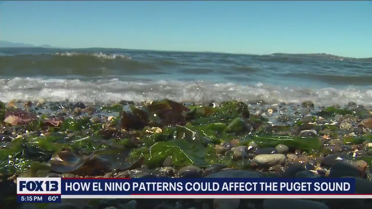 How El Ni�o patterns could affect Puget Sound
