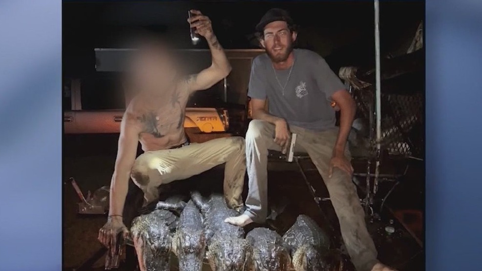 Mims man accused of illegally harvesting alligators