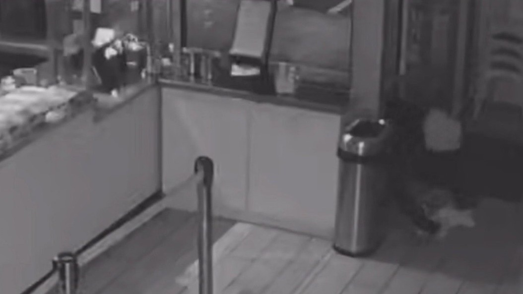 Sweet Republic ice cream burglary caught on camera