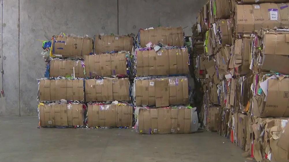 Earth Day: Local nonprofits help environment