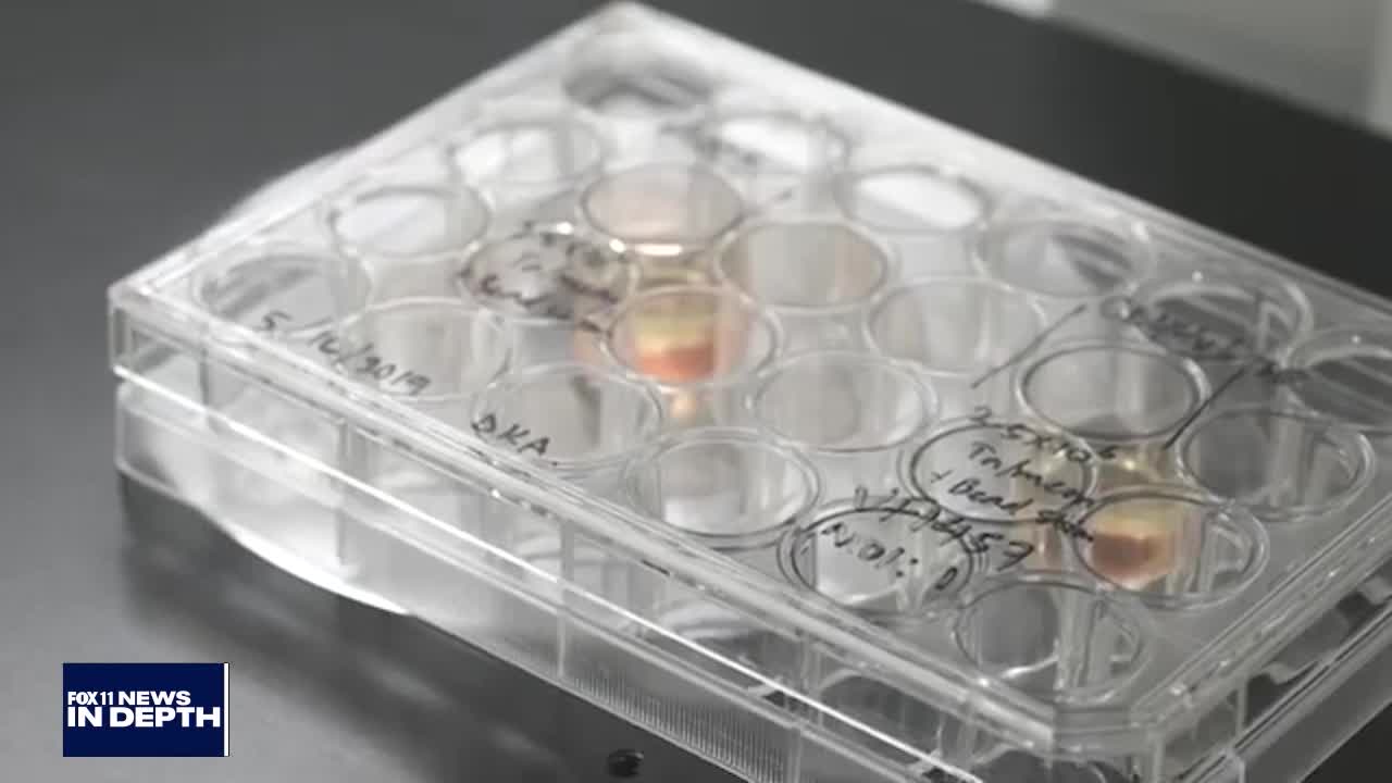 In Depth: Regenerative medicine