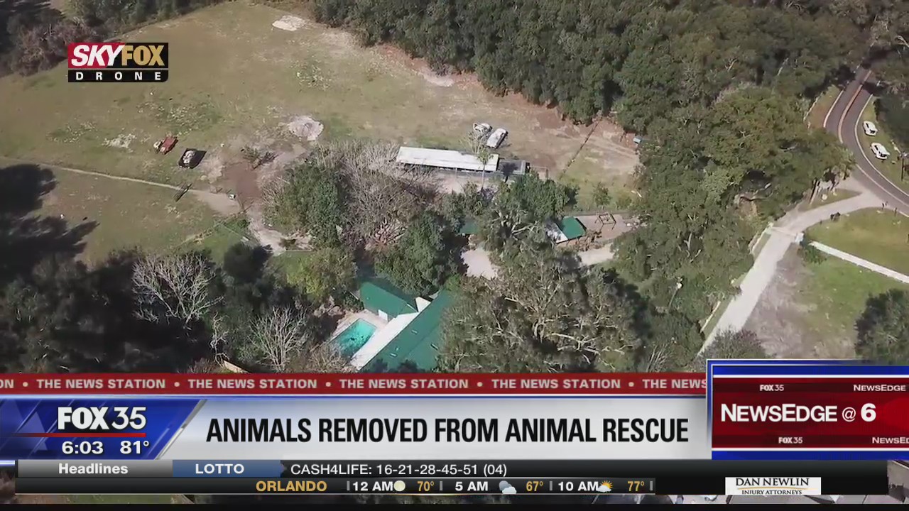 Several animals removed from pet sanctuary