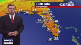 Tampa Weather | High temps near 90 degrees