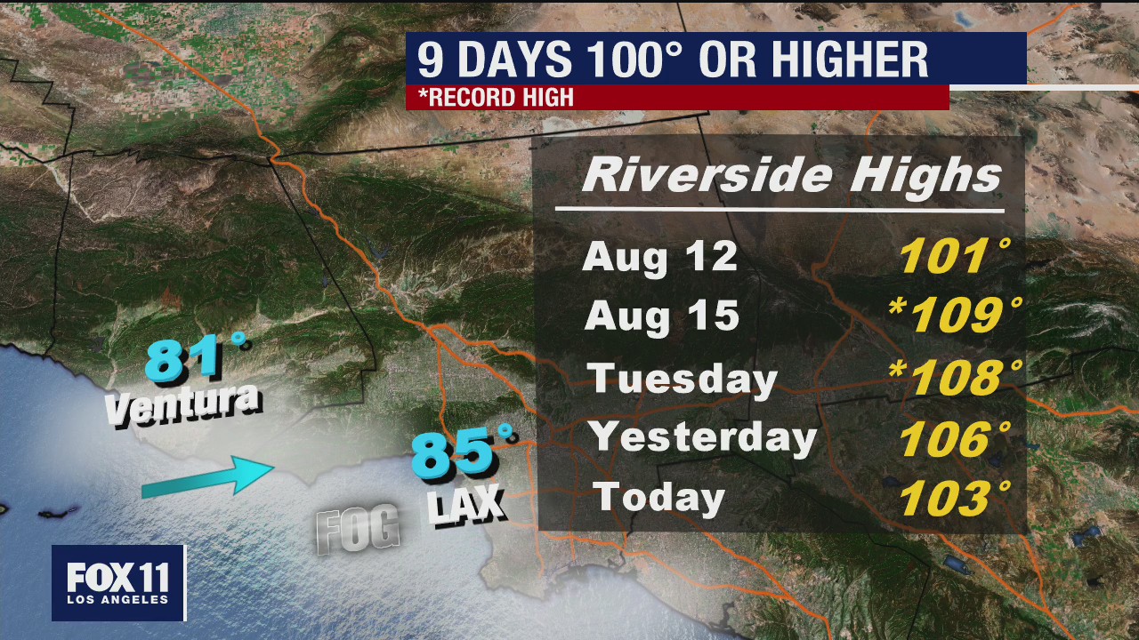 Weather Forecast Thursday, August 20