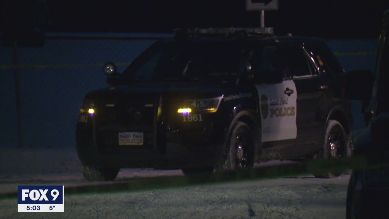 St. Paul Police: Woman killed in domestic dispute, man arrested