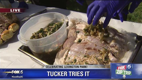 Lexington Park | Zip Trip: Tucker Tries It