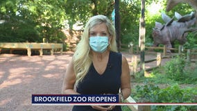 Brookfield Zoo reopens to public with added precautions