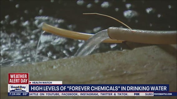 High levels of 'forever chemicals' in drinking water