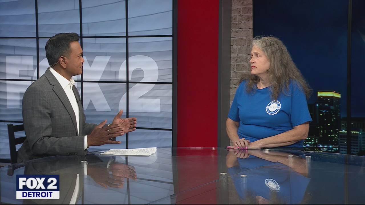 Michigan free school lunches funding concerns