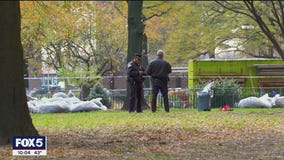 Newborn found dead in Brooklyn