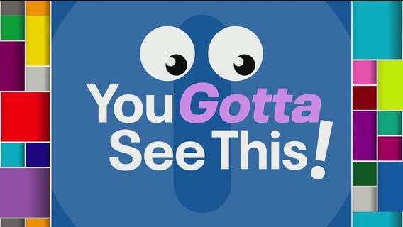 You Gotta See This: Bear walks up to park visitor