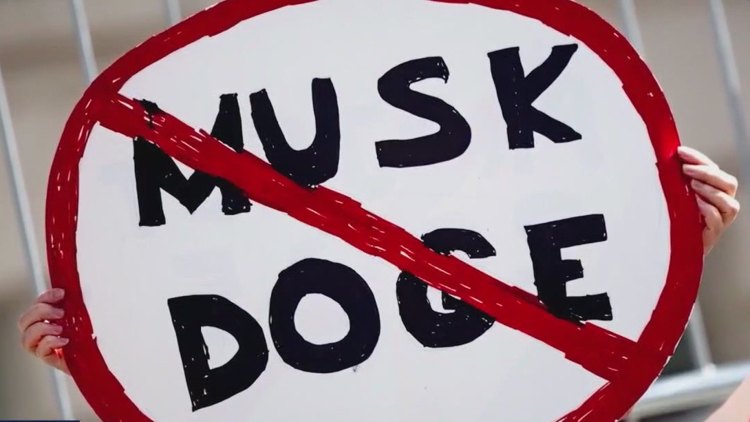 Latest updates on DOGE