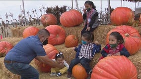 Wednesday's Child: Meet Abraham, Erick, Benjamin and Charlotte