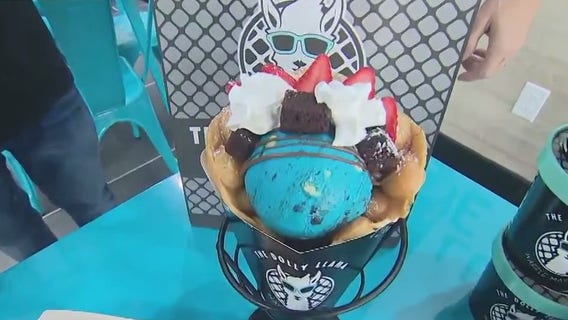 The Dolly Llama dessert shop serves up bubble waffles and ice cream at its first Orlando-area location