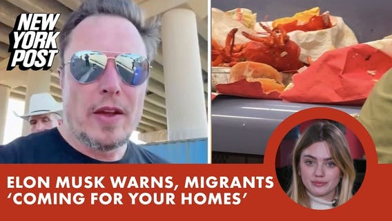Musk said migrants 'will come for your homes'