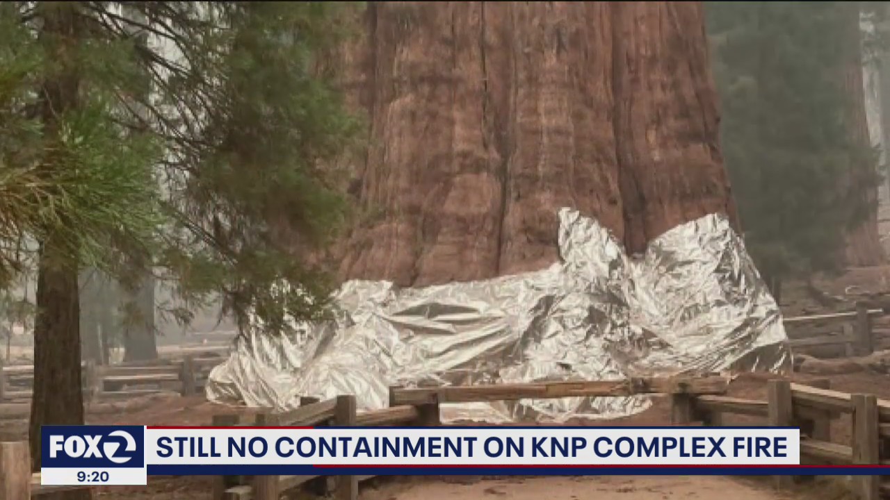 KNP Complex Fire: still no containment s flames move toward giant sequoia grove