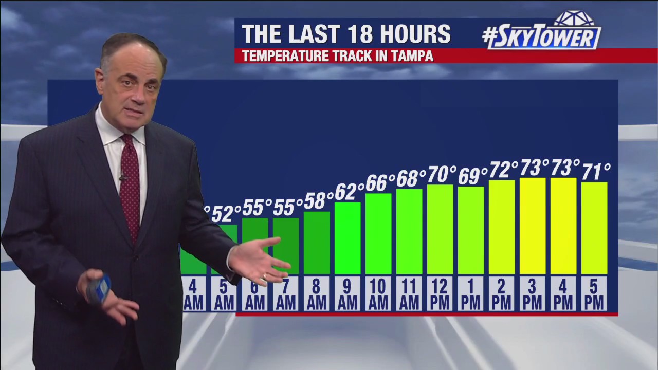 Tampa weather | Calm winds and sunny