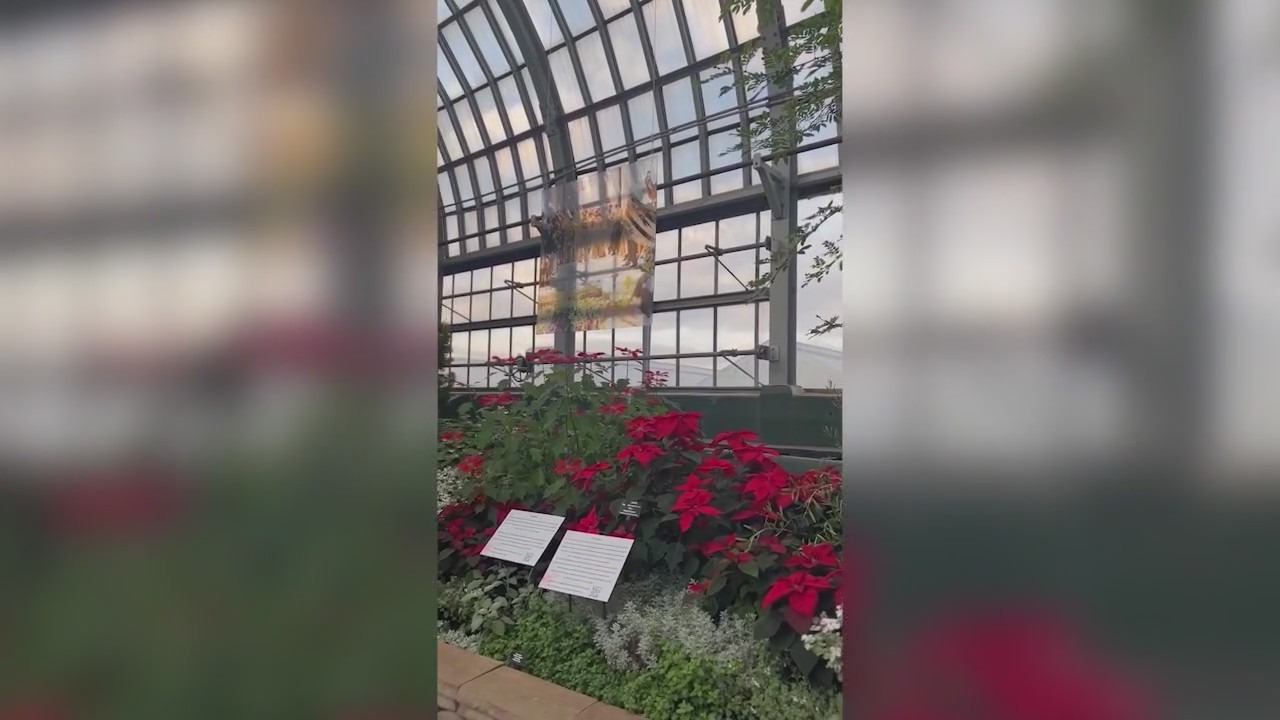 Garfield Park Conservatory Alliance marks 25 years with 'Winter Flower Show'