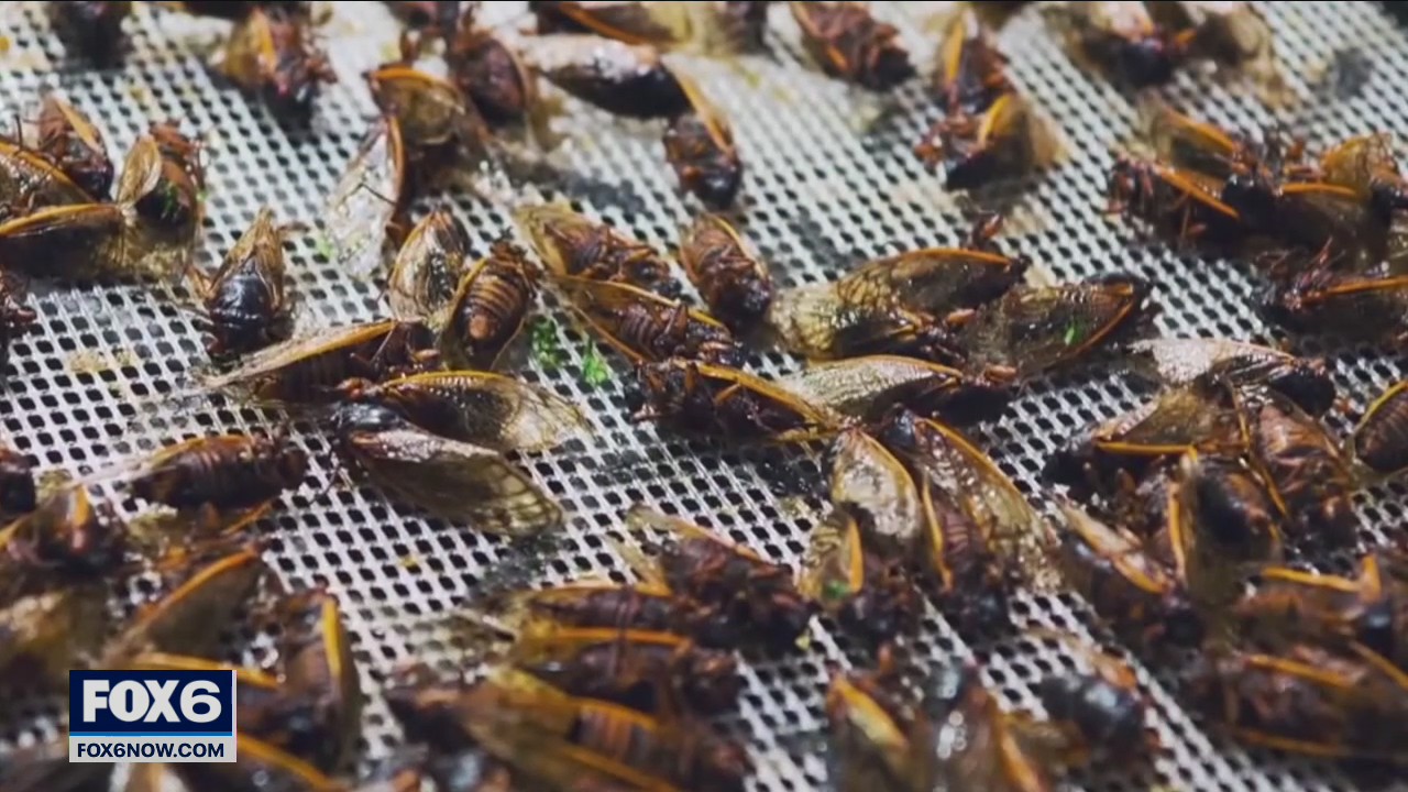 Weather Webcast with A.J. Waterman