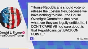 President Trump calls for release of Epstein files