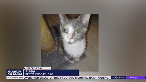 Pet of the Day from Best Friends Animal Society