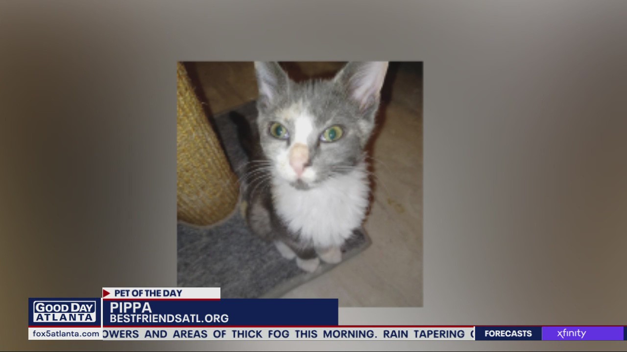 Pet of the Day from Best Friends Animal Society