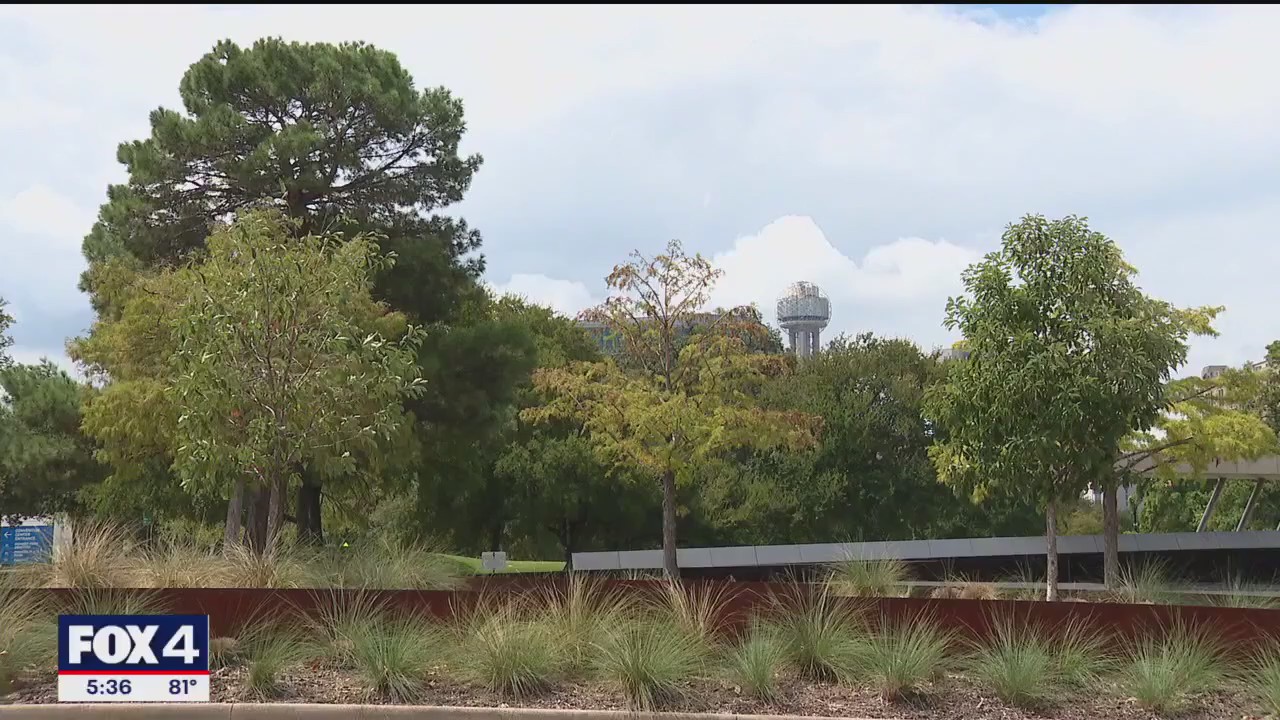 City Council approves $9M contract to count trees