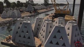 New pyramids protect wildlife near Skyway Bridge