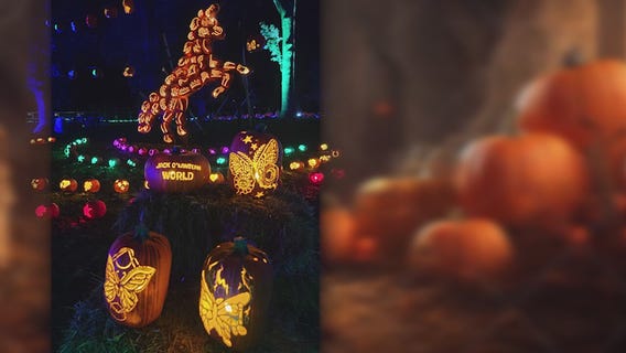 Jack O'Lantern World comes to Lemont