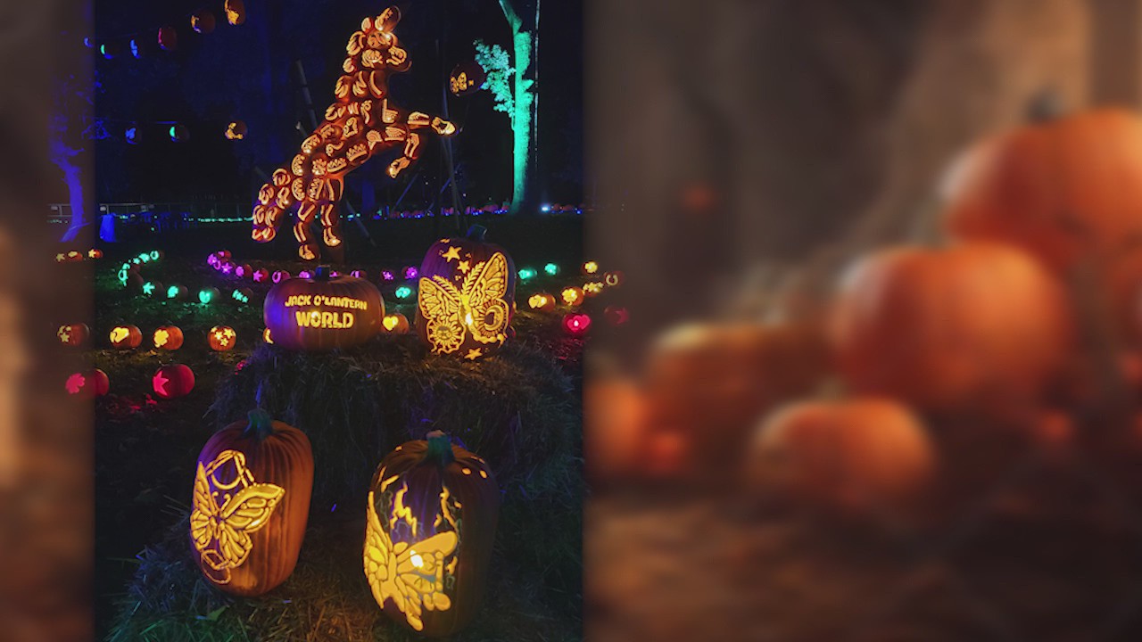 Jack O'Lantern World comes to Lemont