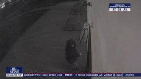 Community rallies after Phoenixville mosque target of vandalism