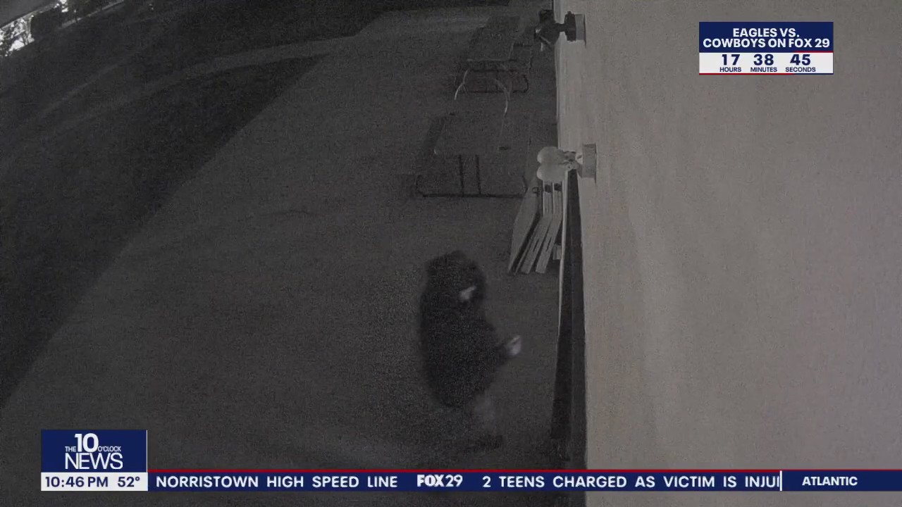 Community rallies after Phoenixville mosque target of vandalism