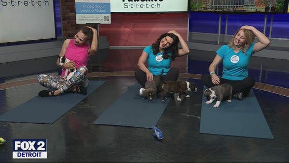 Pawsitive Yoga
