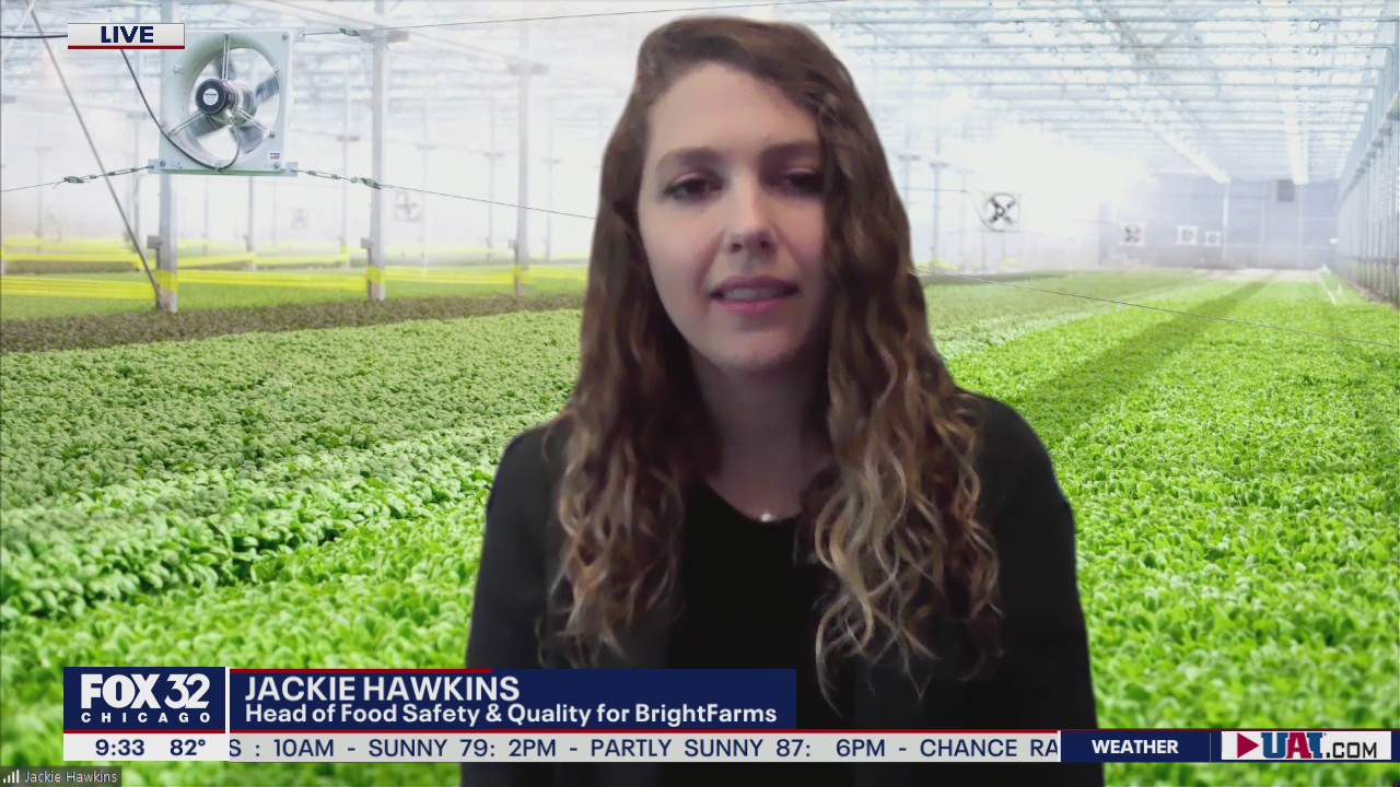 How to stay safe when buying pre-bagged salad