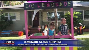 5-year-old cancer survivor surprised with new lemonade stand