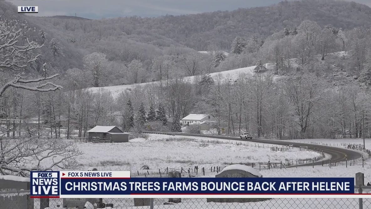 Hurricane Helene's holiday impact a year later