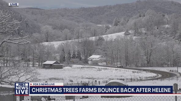 Hurricane Helene's holiday impact a year later