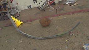 Homeless man killed in Venice hit-and-run