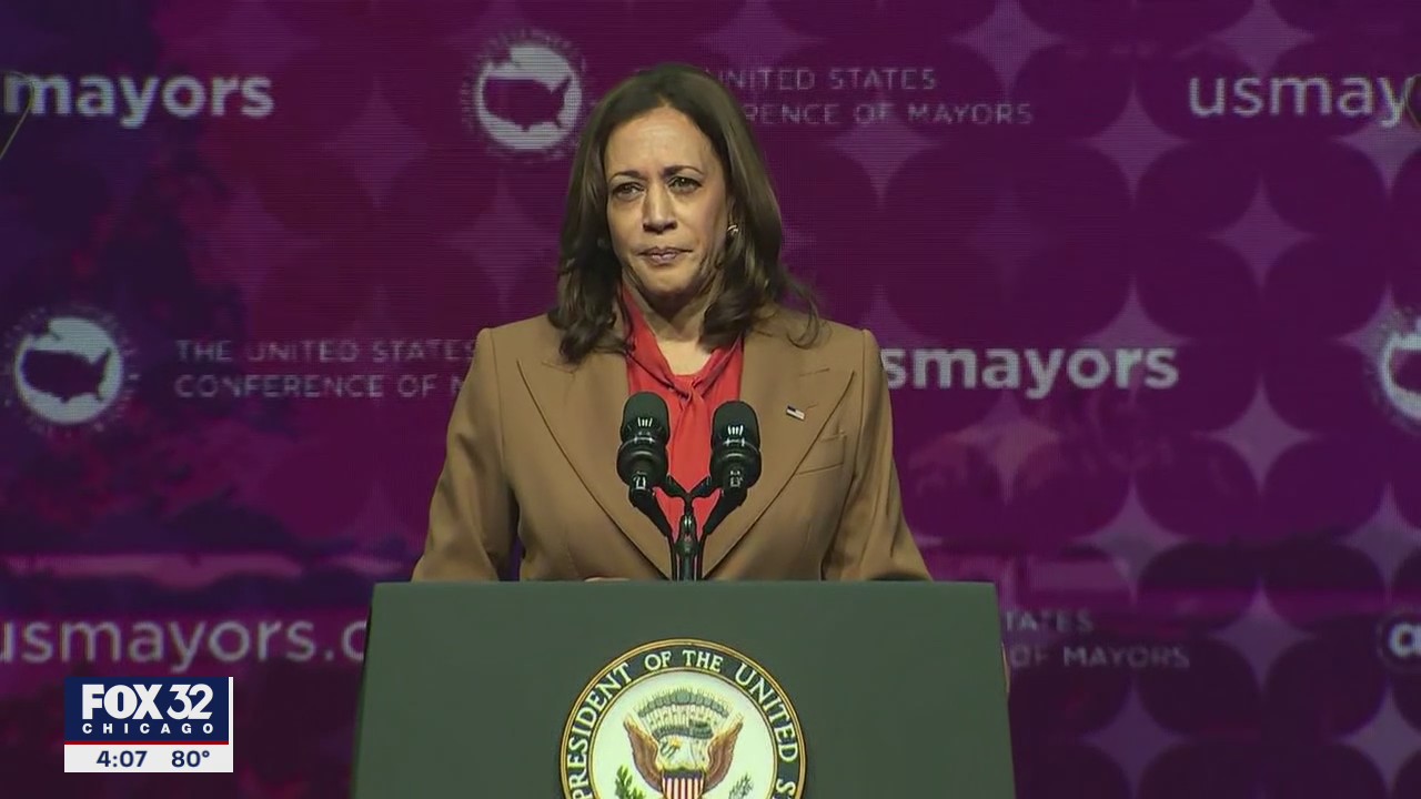VP Kamala Harris renews calls for new federal gun control laws