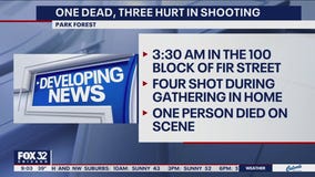 1 killed, 3 wounded in Park Forest shooting