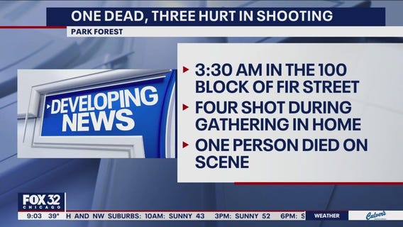 1 killed, 3 wounded in Park Forest shooting